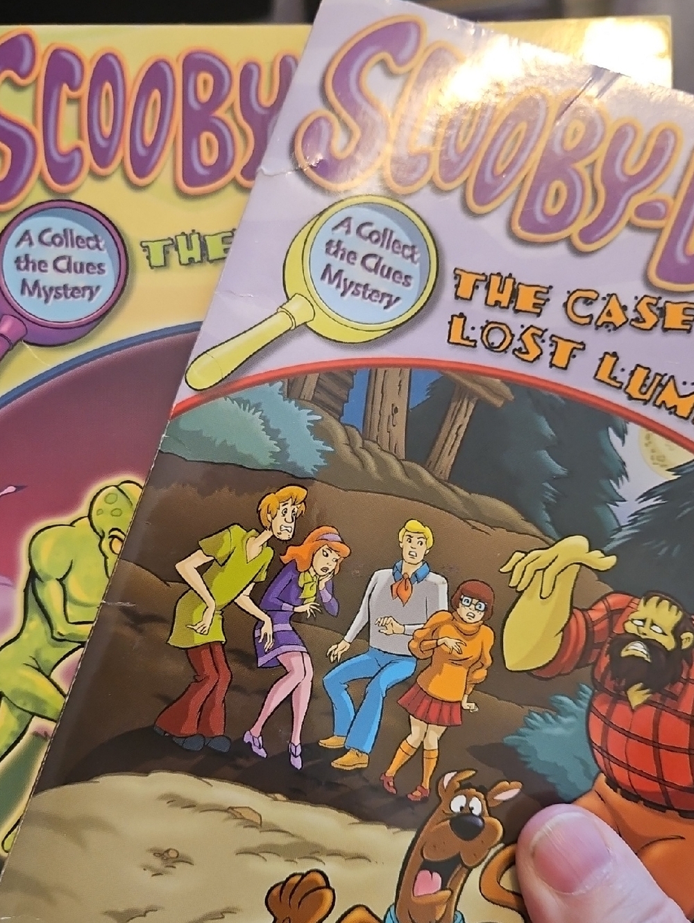 2 Scooby Doo Books. Case of the Lost Lumberjack. Buy 1 Book Listings Get 1 Free